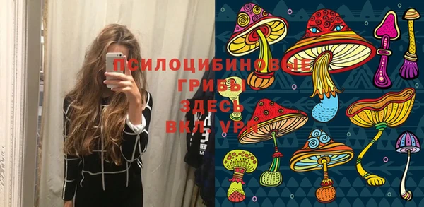 бошки Узловая
