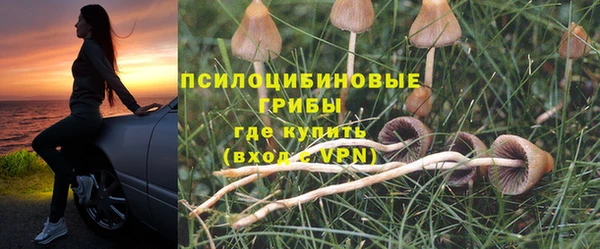 ECSTASY Щигры