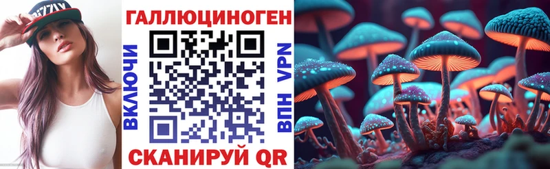 Галлюциногенные грибы Psilocybine cubensis  Северская 